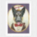 colored pencil, dog portrait, dog art