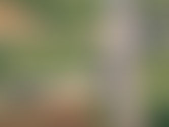 Se registra un tiroteo con víctimas mortales en Maryland, Estados Unidos