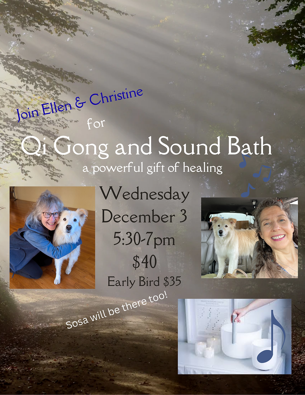 Qi Gong and Sound Bath Experience