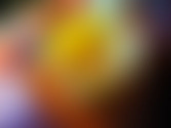 梅干し漬け2