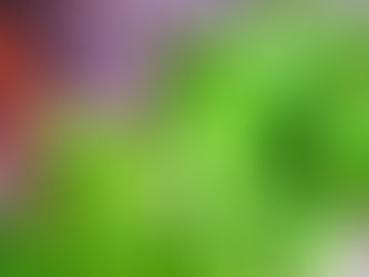 花の目覚め…