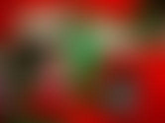 クリスマスリース