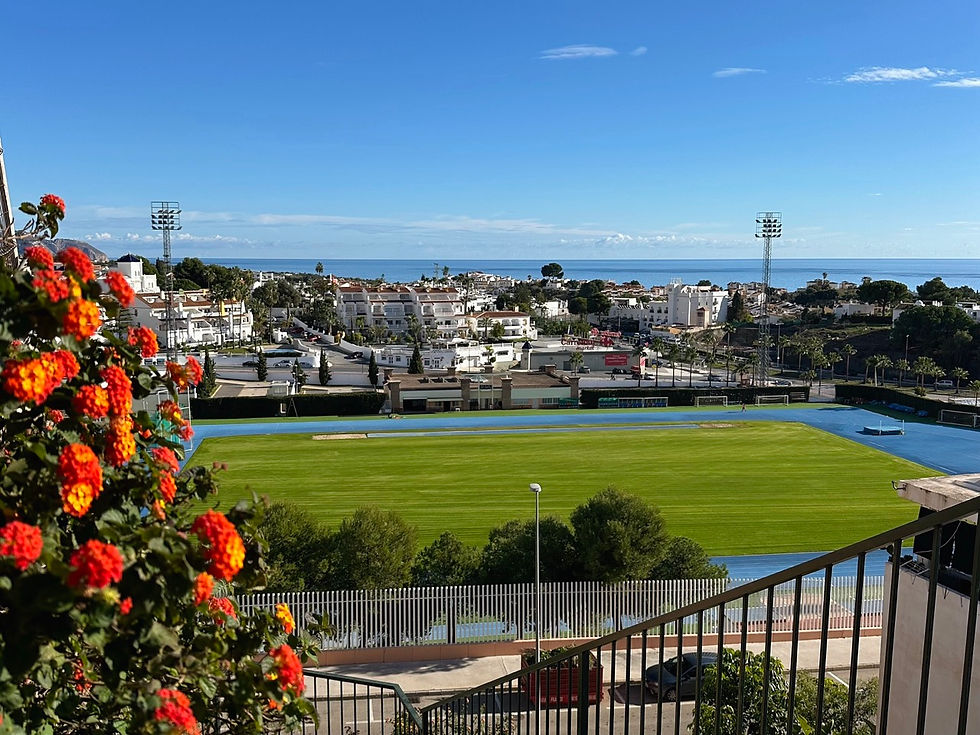 Näkymä Nerjassa, etualalla kukkia, taustalla urheilukenttä ja Capistranon alueen taloja