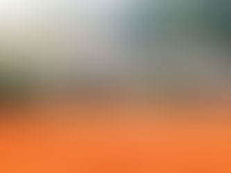 Aufruf zur Bewirtung für die Regionalligaspiele