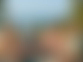 Entrada Estratégica en el Mercado: Aprovechando la Experiencia en Promoción Delegada en el Sector Senior Living de España