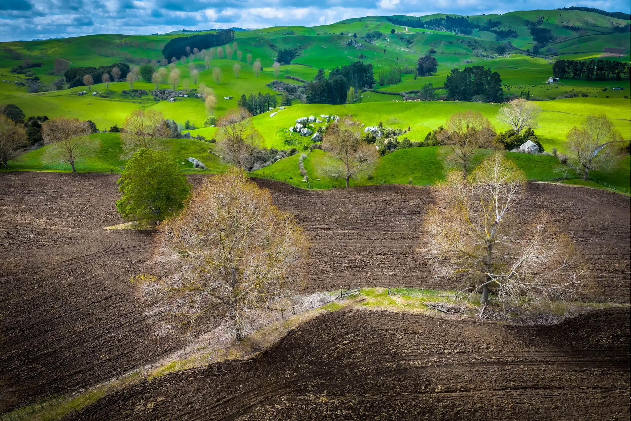 a ploughed field wih paddocks on a hilly background