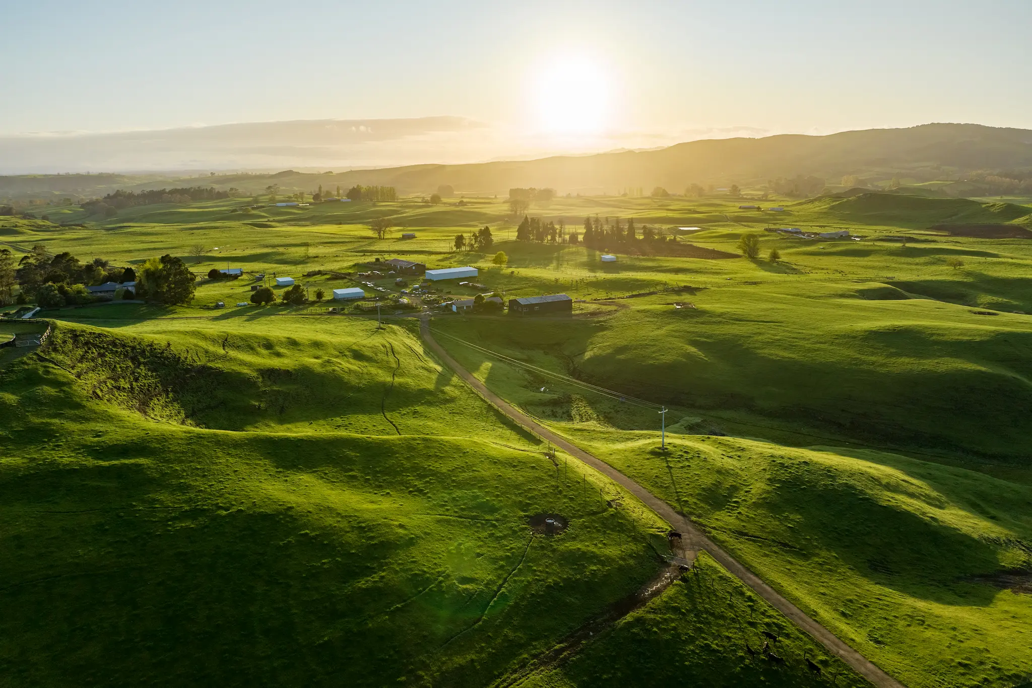 large farm landscape,with road tht leads to farm sheds at sunrise