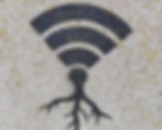 WiFi symbol painted on a speckled concrete wall with roots extending from the bottom, blending tech with nature.