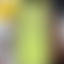 iPhone 13 Pro green screen after update