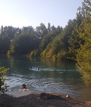 6da34476-13d1-4199-bde4-86e08c7aaa4c_edited.jpg