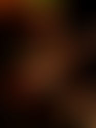 ENJAMBRE ENDS DAÑOS LUZ TOUR WITH ELECTRIFYING HOLLYWOOD FINALE