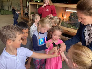 Junior & Senior Infants School Tour 2022