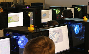3D Animation & Gaming