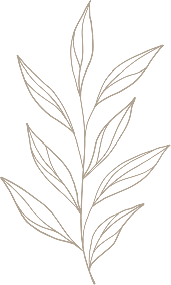 Folhas naturais gráficas desenhadas