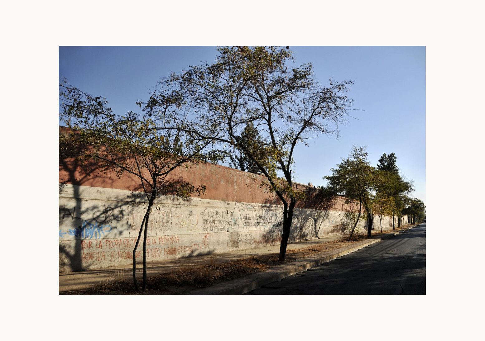 Declaración de principio