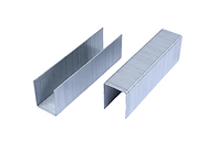 SERIE_P-removebg-preview (1).png