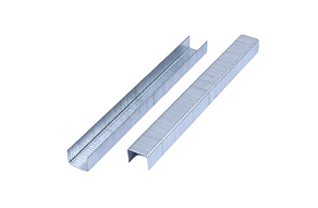 TF-50-removebg-preview (1).png