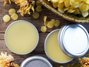 The Science Behind Preventing & Soothing Bug Bites with Skin Food Tallow Balm