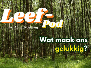 Wat maak ons gelukkig?