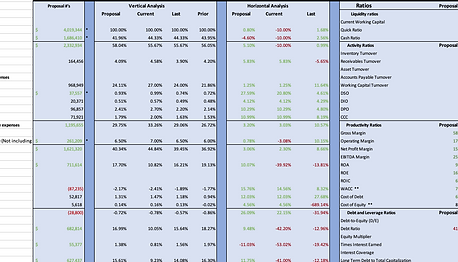 Financial Analysis Screenshot.png