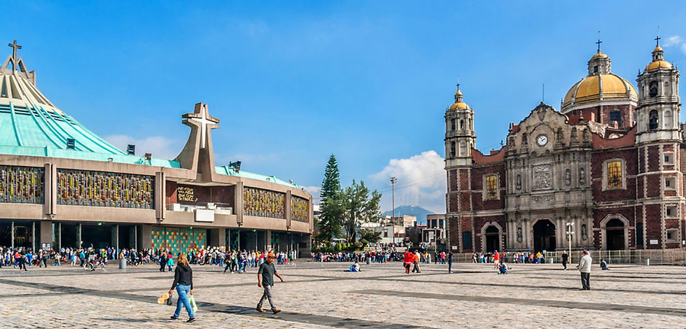 Miniatura: PEREGRINACION VIRGEN DE GUADALUPE & CDMX