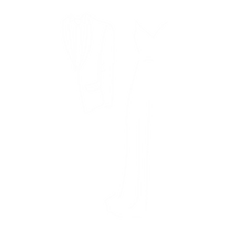 DRESS_edited.png