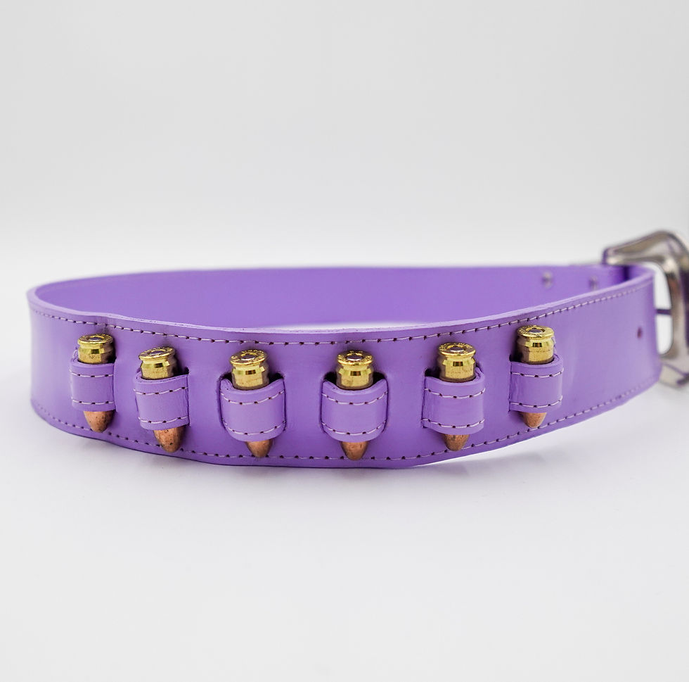 Thumbnail: Daisy Cartridge Belt