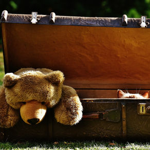 Una mudanza apurada y un salto de lleno hacia el minimalismo (sin anestesia y sin sufrimiento).