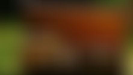 Una mudanza apurada y un salto de lleno hacia el minimalismo (sin anestesia y sin sufrimiento).