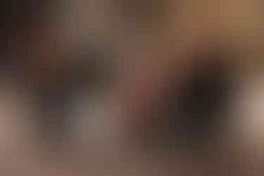 Sky Island Quartet played holiday favorites in the lobby during intermission.