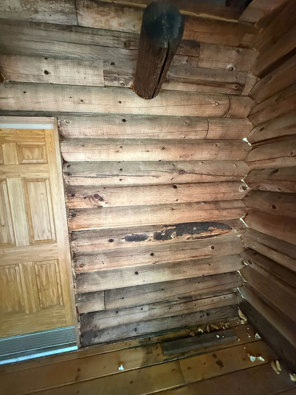 After stripier and removal of old oils and build up