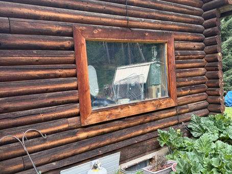 Finalization of the Log Home Restoration outside of Spokane Washington. Painting contractors who specialize in log home restorations and wood staining
