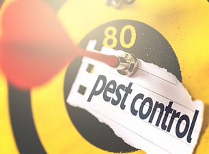 Untitled design (11).png