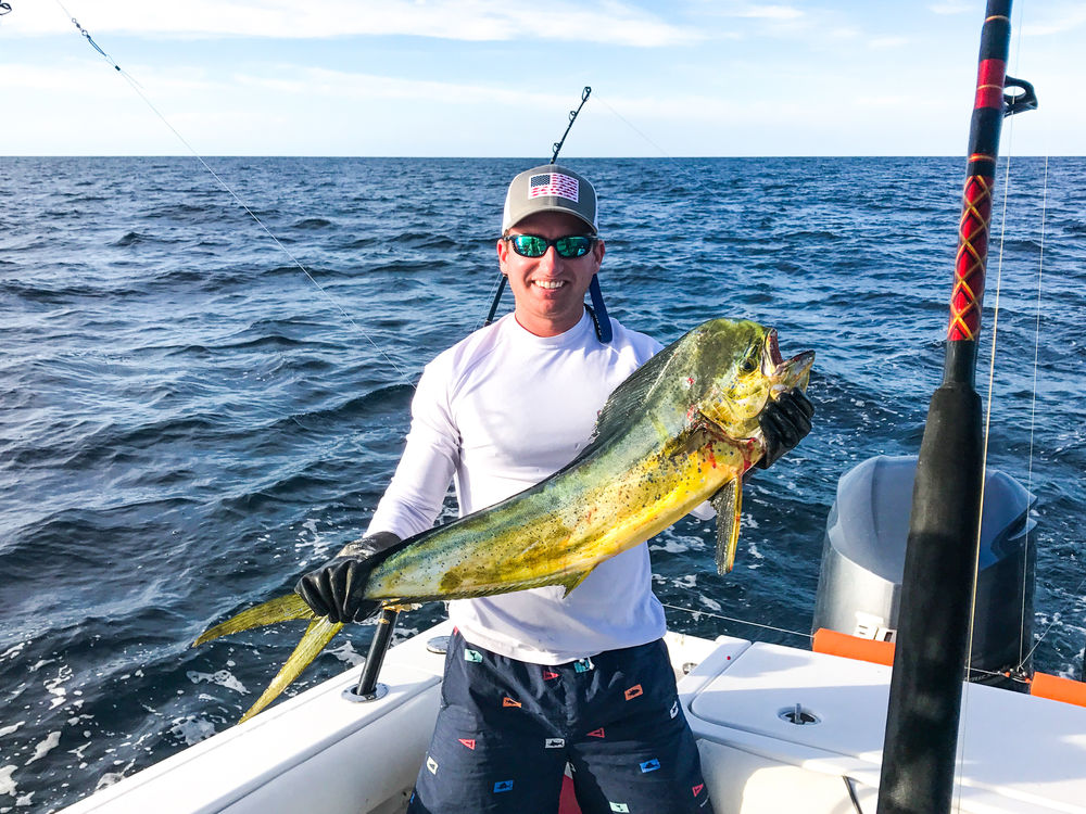 The Mahi Mahi Migration