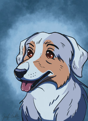 dog,Aussie,Merle,cartoon character