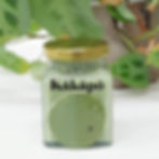 Thumbnail: Underglaze green Kakapo