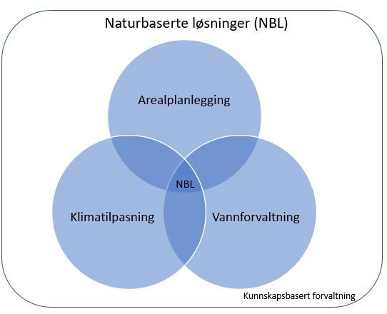 Venn-diagram naturbaserte løsninger, klimatilpasning, arealplanlegging, vannforvaltning