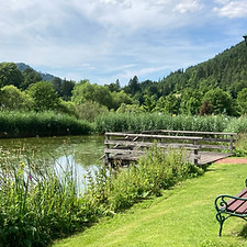 Naturpark Teich Banker