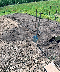 "Bauerngarten - Anfang