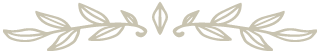 divider.png