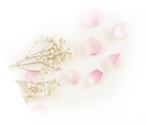 petals.png