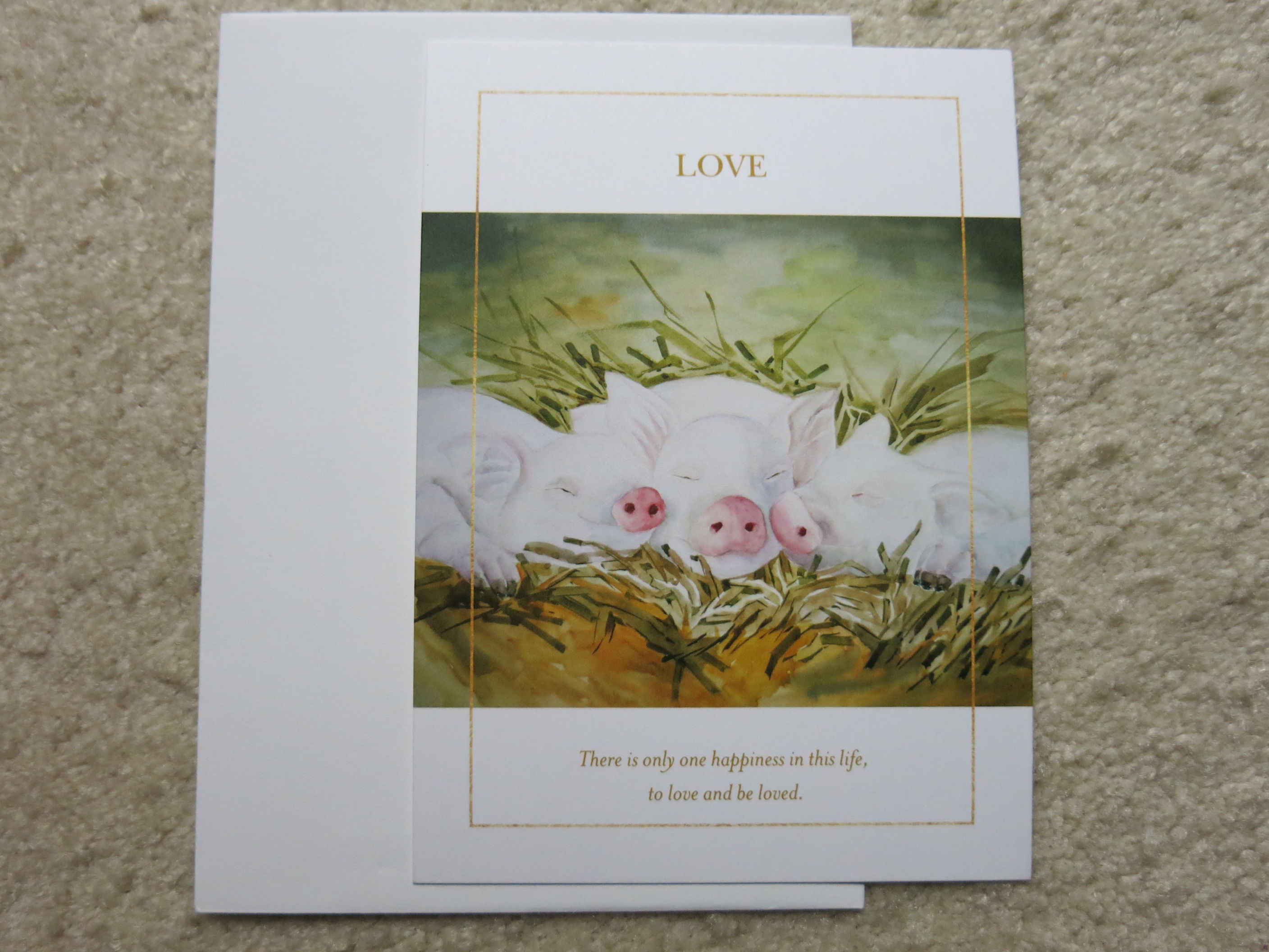 5x7inches Color printed flat card (CPcard 0076)