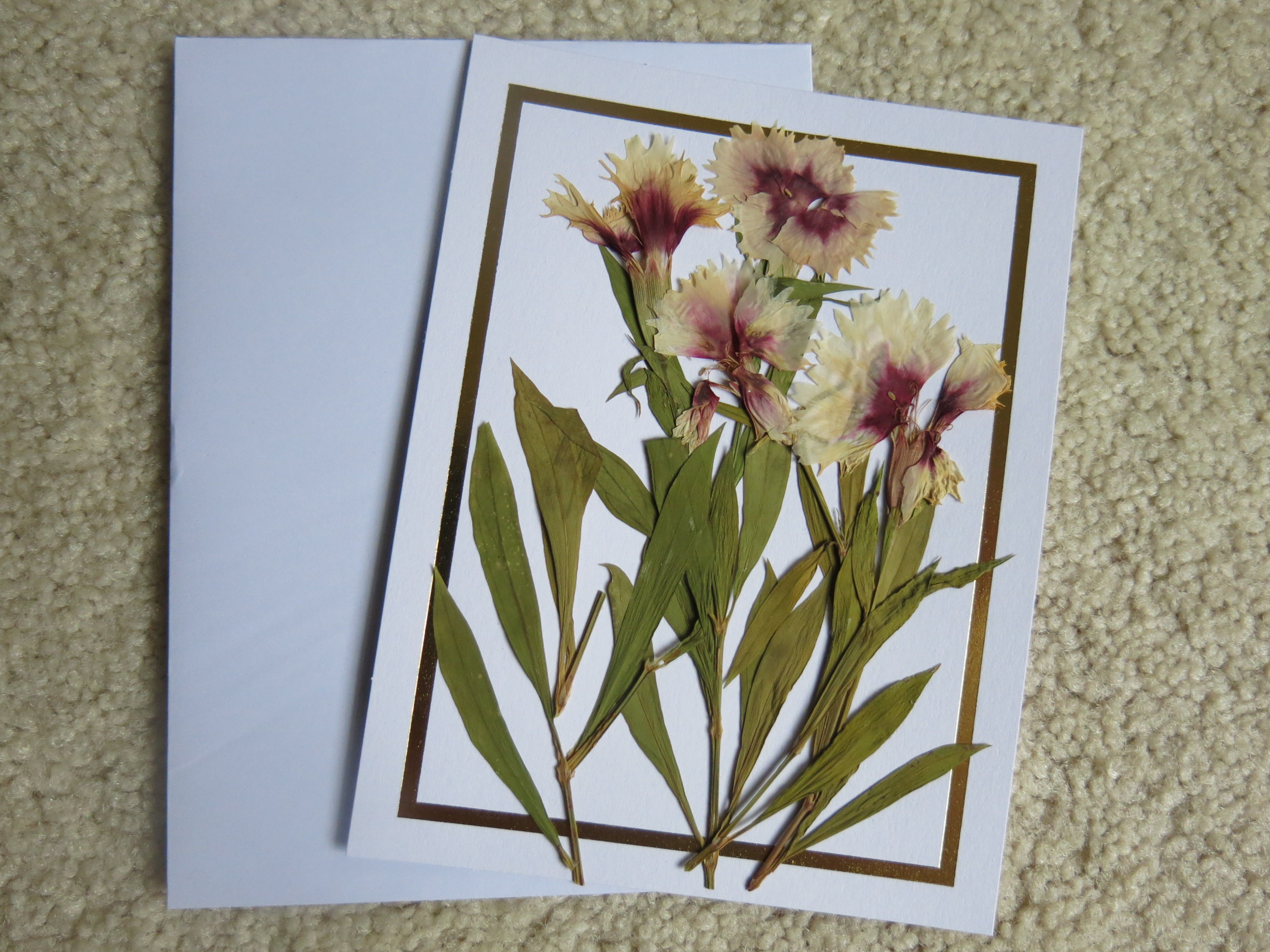 Dried pressed flowers flat card (DFcard0031)