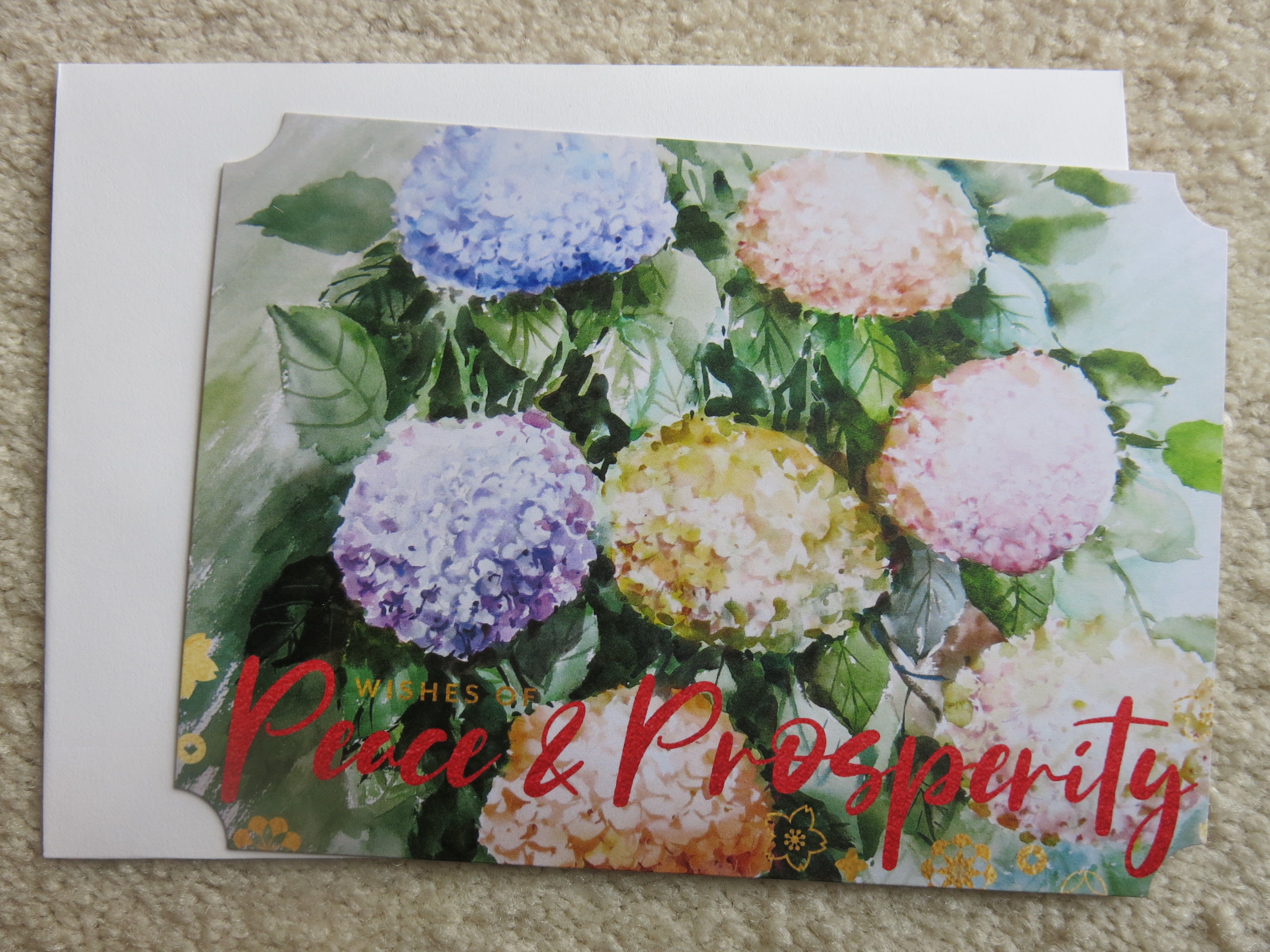 5x7inches Color printed flat card (CPcard 0096)