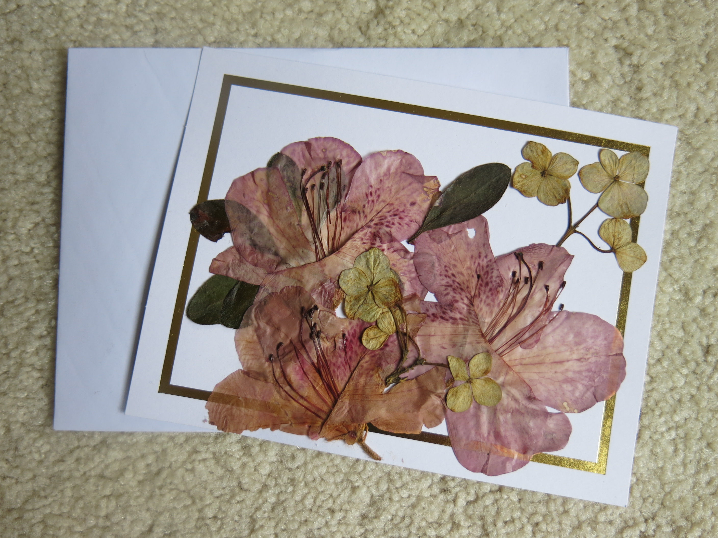 Dried pressed flowers flat card (DFcard0033)