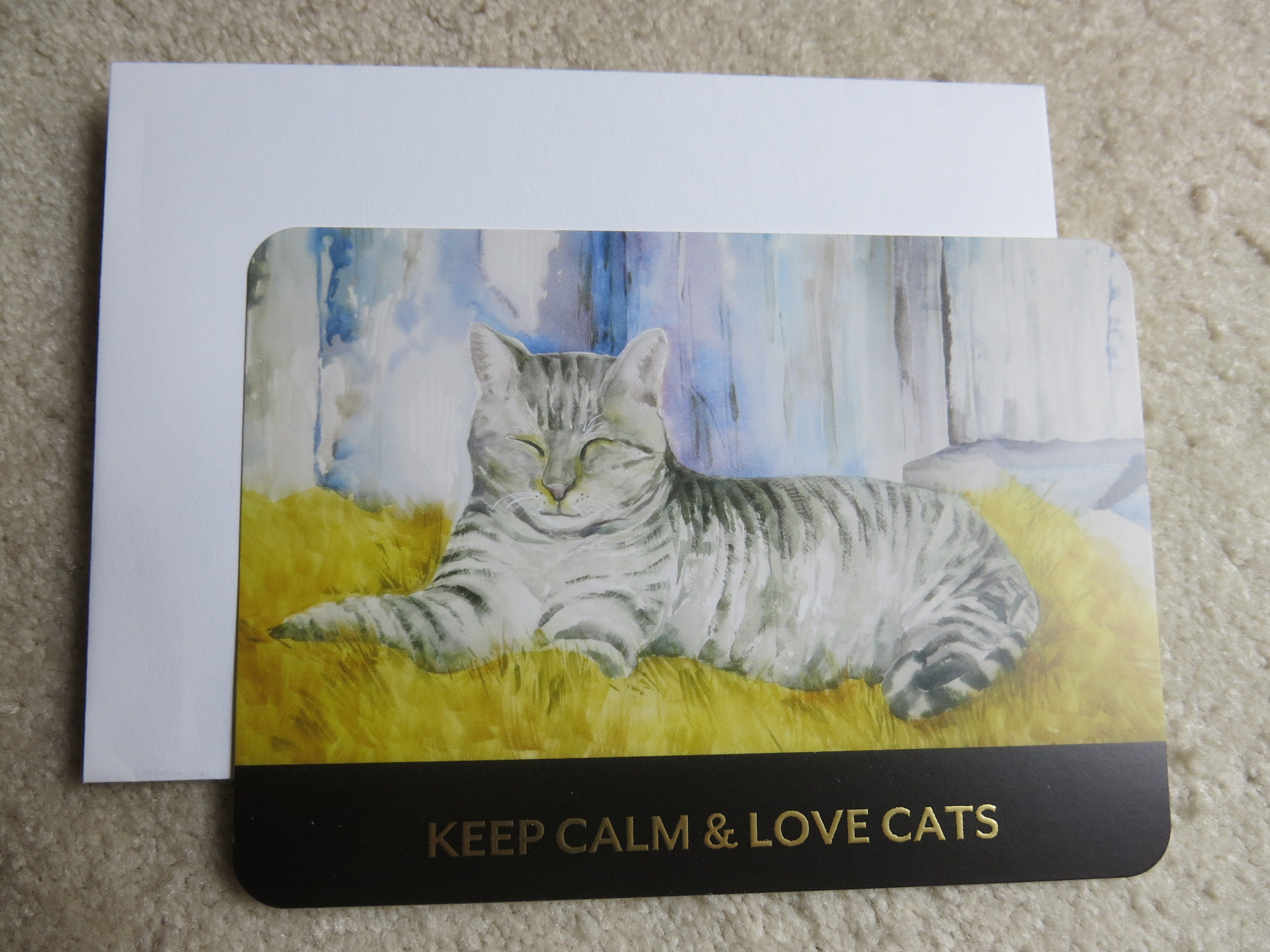 5x7inches Color printed flat card (CPcard 0073)