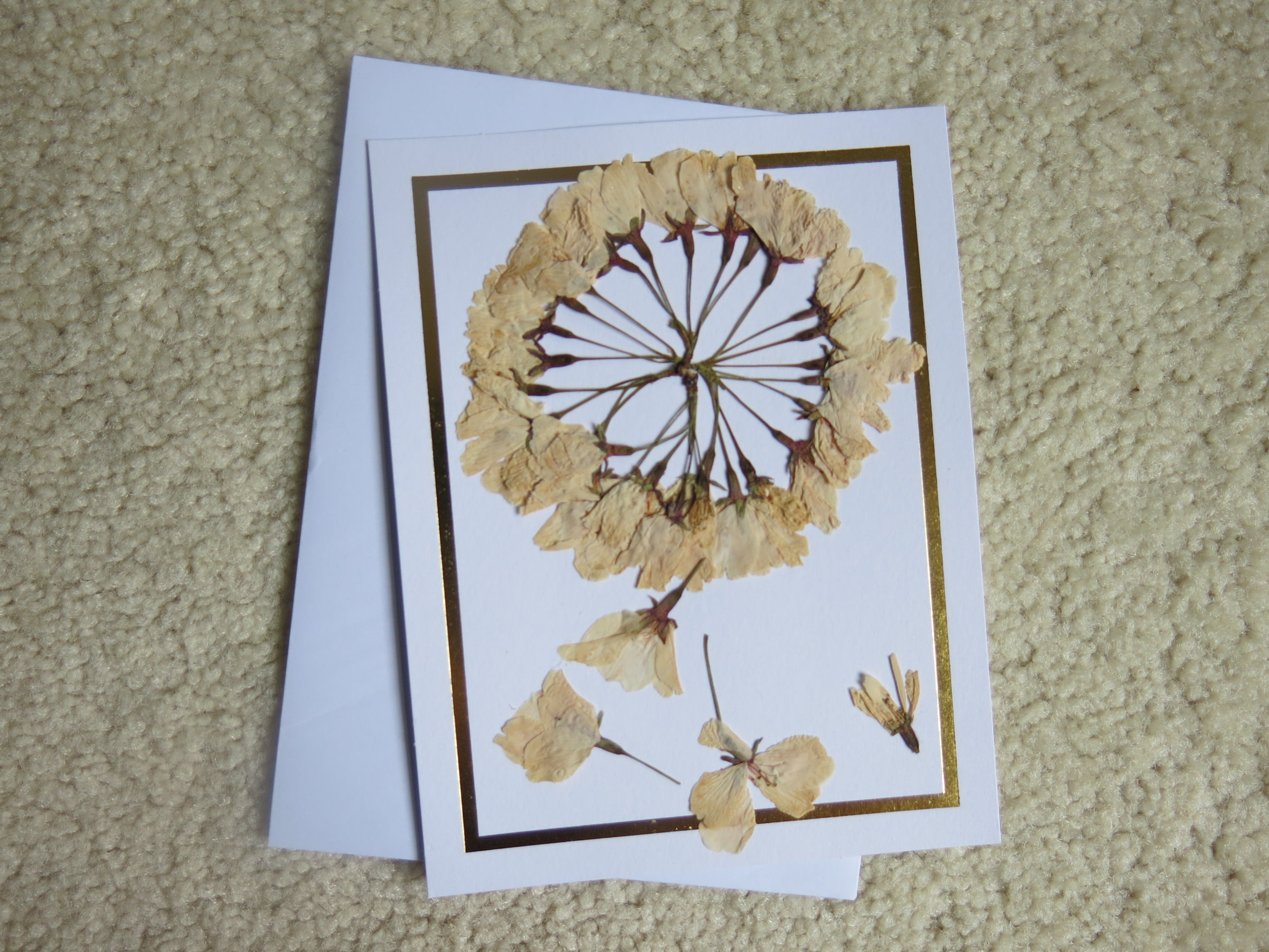 Dried pressed flowers flat card (DFcard0034)
