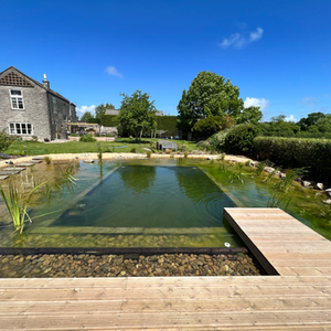 European style Natural Swimming pool
