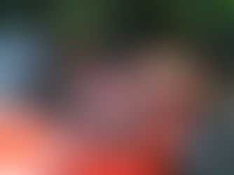 What would Geoff Do ?