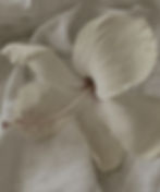 Untitled (5 x 7 in)_edited.jpg